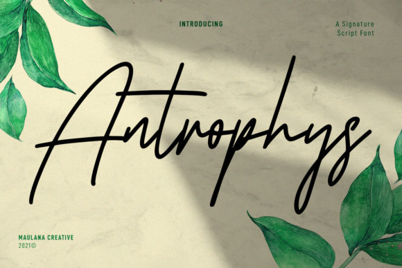 Antrophys Script: A Versatile Font for Creative Web Design