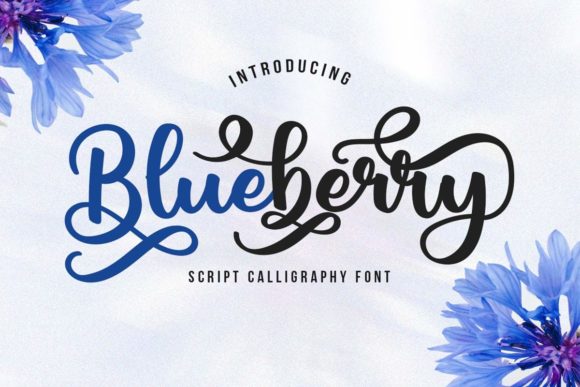 Blueberry Script: A Charming and Elegant Typeface for Web Design