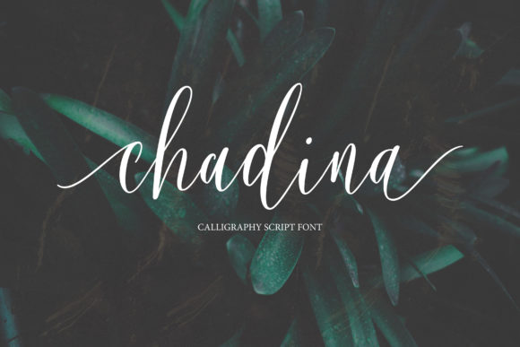 Chadina Script: A Font for Clear and Engaging Campaigns