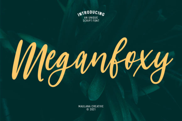 Discover Meganfoxy Script: A Charming Handwritten Font