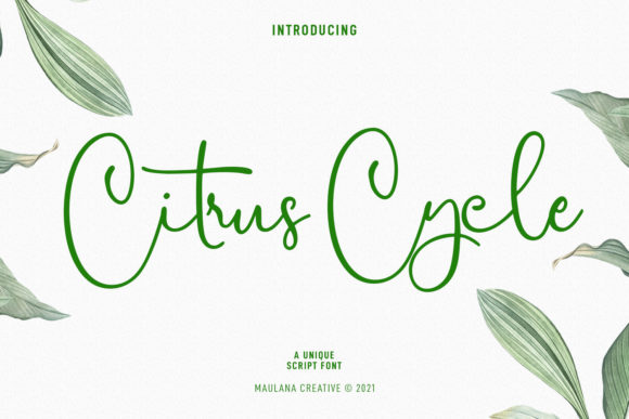 Enhance Your Brand with Citrus Cycle Script Font