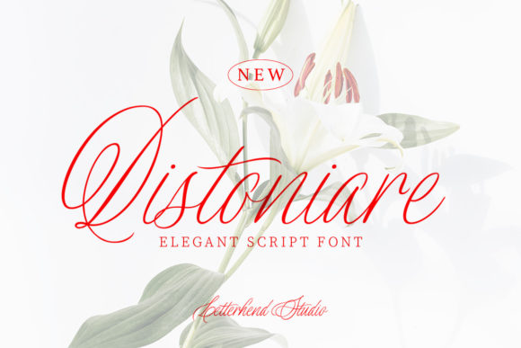 Enhance Your Brand with Distoniare Script Font