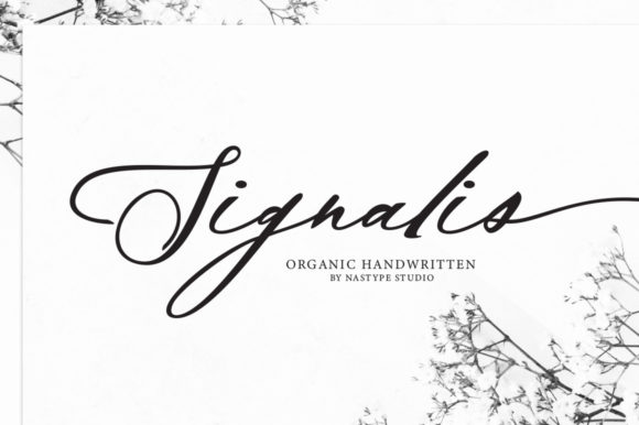 Enhance Your Brand with Signalis Script Font