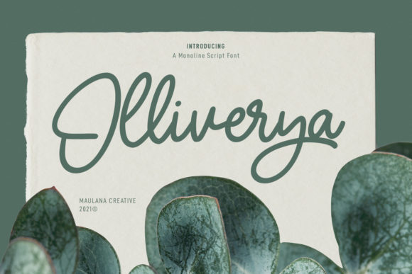 Olliverya Script: A Magical Typeface for Elegant Web Design