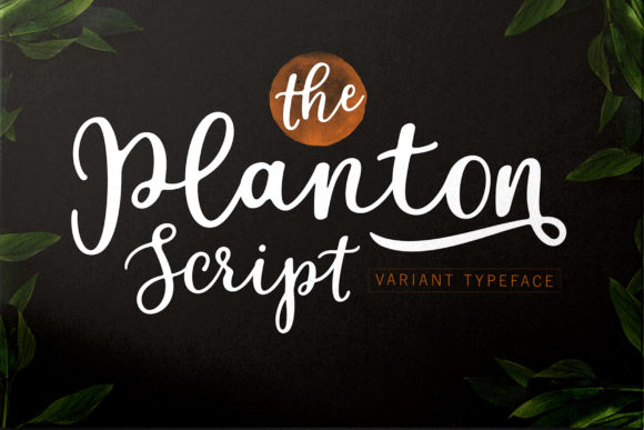 Planton Script: A Versatile Font for Creative Web Design
